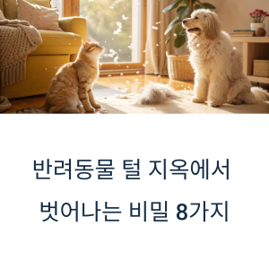 반려동물, 털관리,1